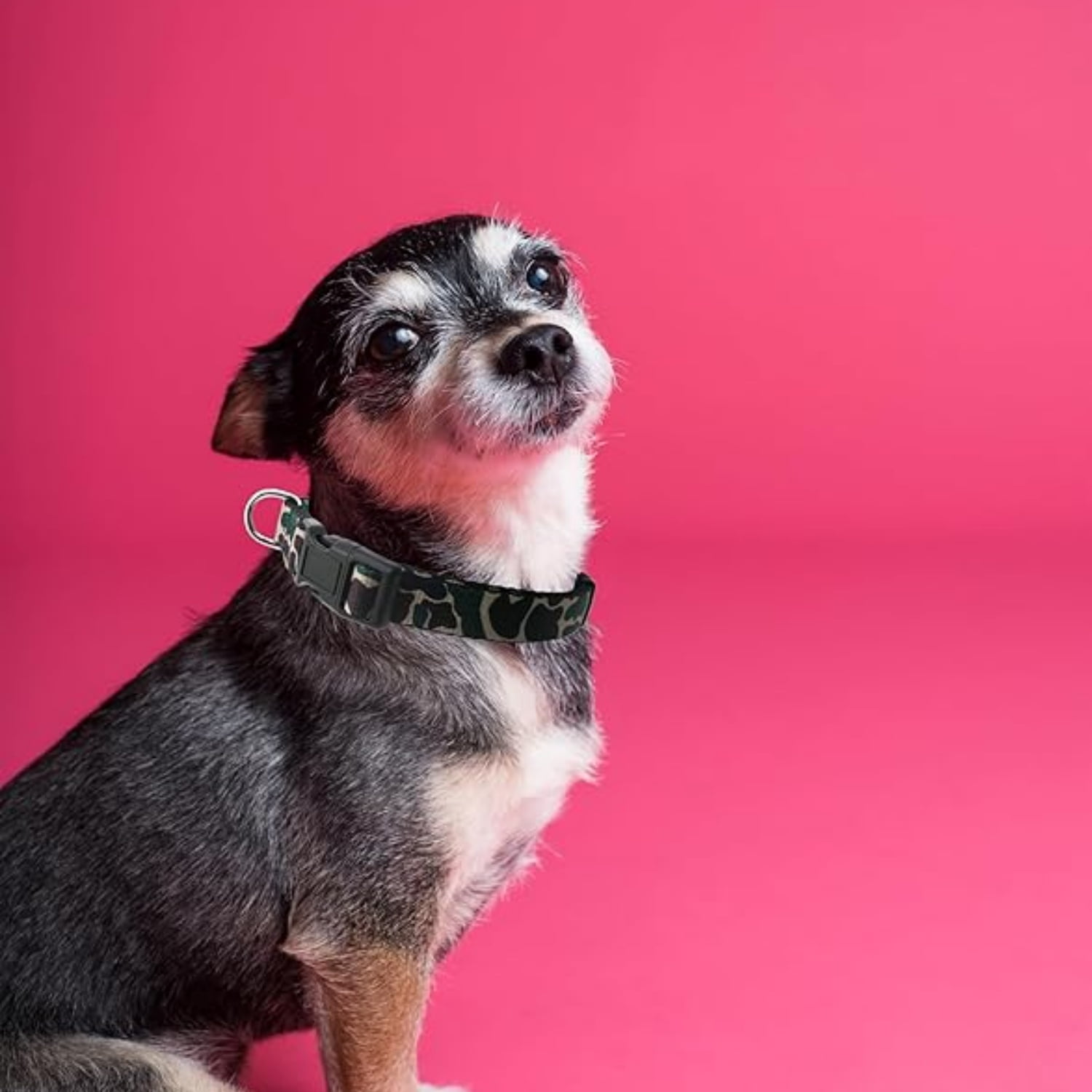 Dog Collar, Cute Camouflage Pattern, Soft and Adjustable Collar with Quick Release Buckle (XS (Neck 9-13", Width 3/8"), Camouflage Green) - Image 2