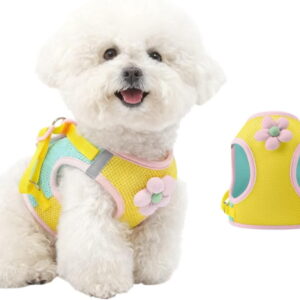 "Floral Mesh Dog Harness with Leash, Lightweight Pet Vest for Small to Medium Dogs & Cats, Adjustable, Pink/Yellow - M (12-15 lbs)"