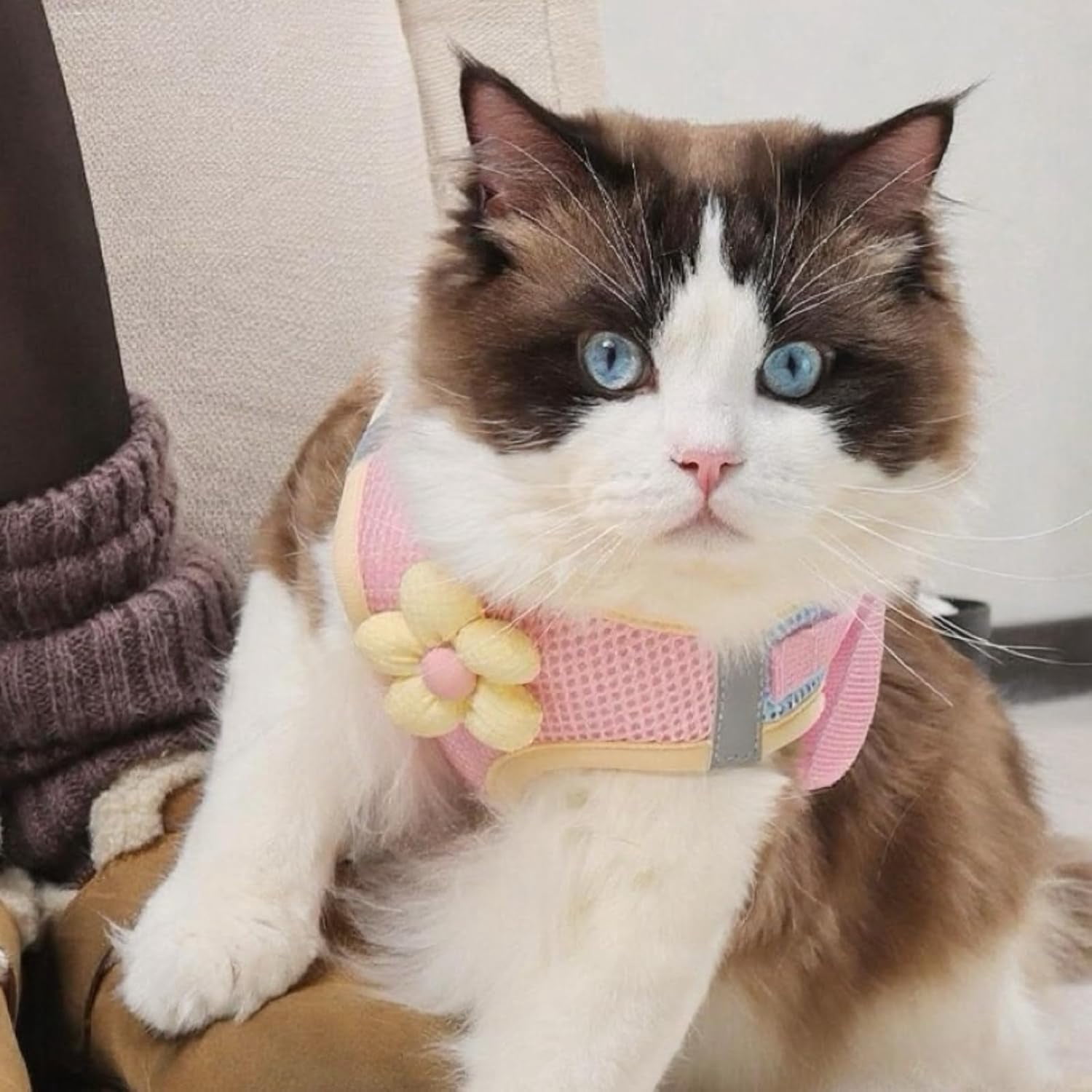 "Floral Mesh Dog Harness with Leash, Lightweight Pet Vest for Small to Medium Dogs & Cats, Adjustable, Pink/Yellow - M (12-15 lbs)" - Image 6