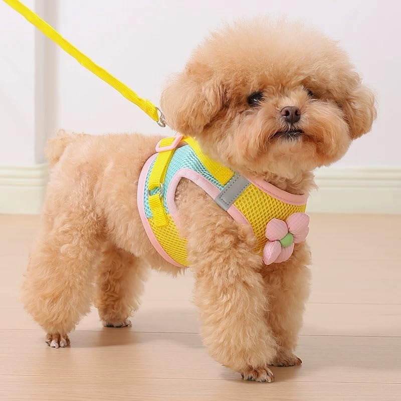 "Floral Mesh Dog Harness with Leash, Lightweight Pet Vest for Small to Medium Dogs & Cats, Adjustable, Pink/Yellow - M (12-15 lbs)" - Image 7