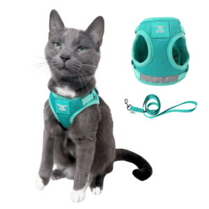 The Jackson Galaxy x Travel Cat Harness  Leash Set