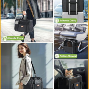 Soft Pet Carrier for Cats & Dogs up to 14lbs - Airline Approved with Safety Buckle