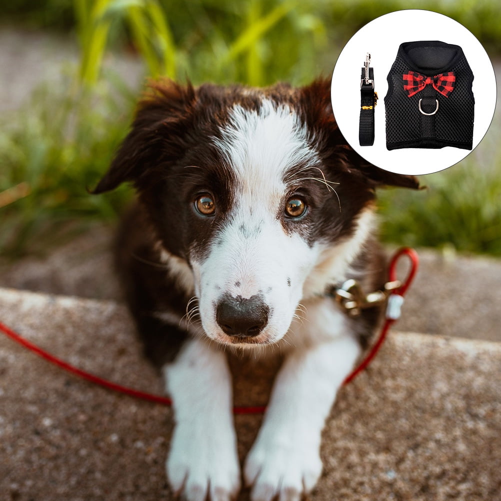 2 Sets Pet Vest Harness Dog Training Harnesses Ferret Travel Black - Image 3