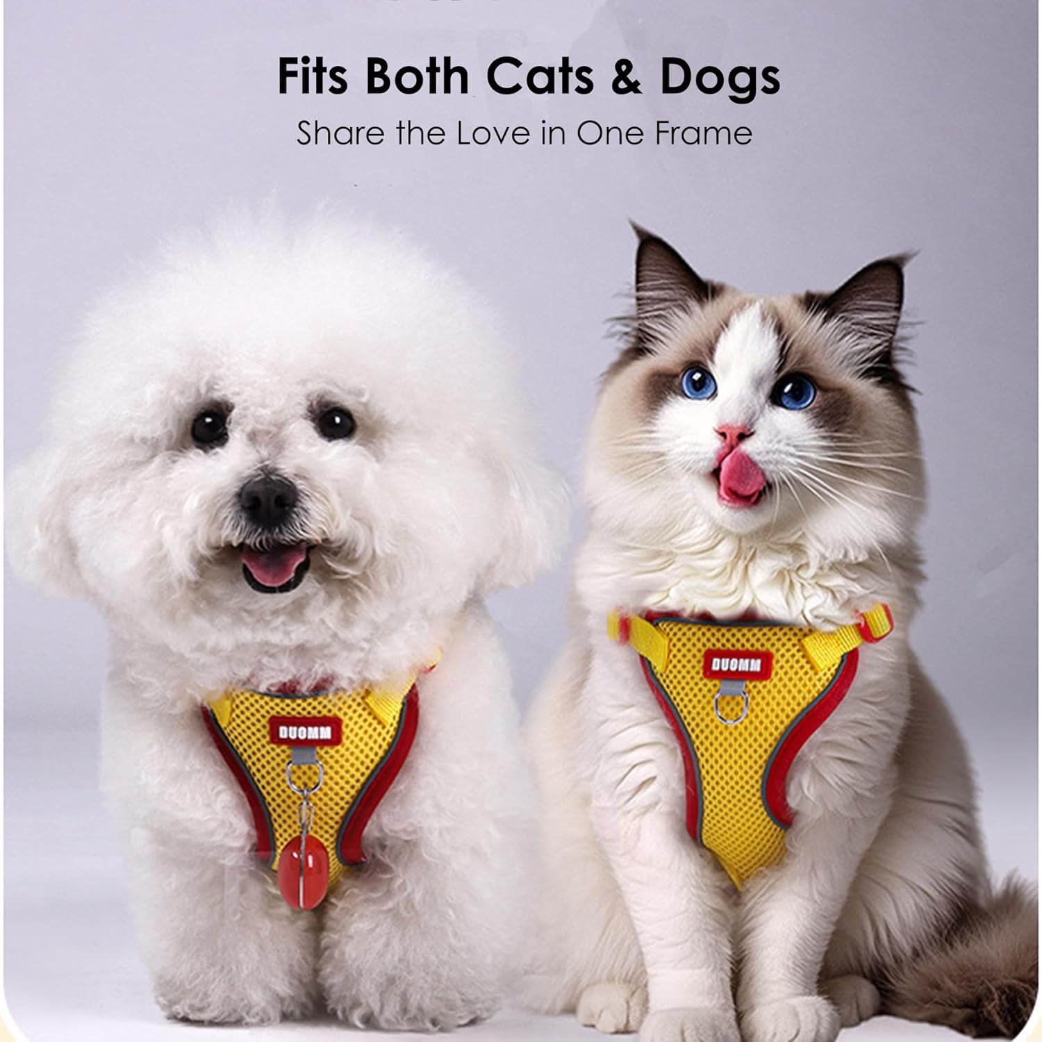 "Adjustable Cat Harness and Leash Set, Escape-Proof Reflective Vest for Cats & Small Dogs, Soft Breathable Mesh, Pressure-Reducing Design, 5ft Leash, XL - Beige & Blue" - Image 4