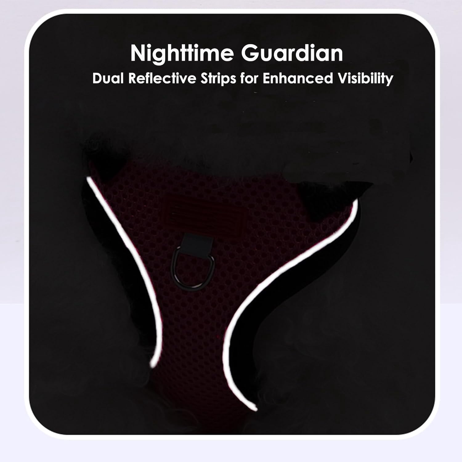 "Adjustable Cat Harness and Leash Set, Escape-Proof Reflective Vest for Cats & Small Dogs, Soft Breathable Mesh, Pressure-Reducing Design, 5ft Leash, XL - Beige & Blue" - Image 5