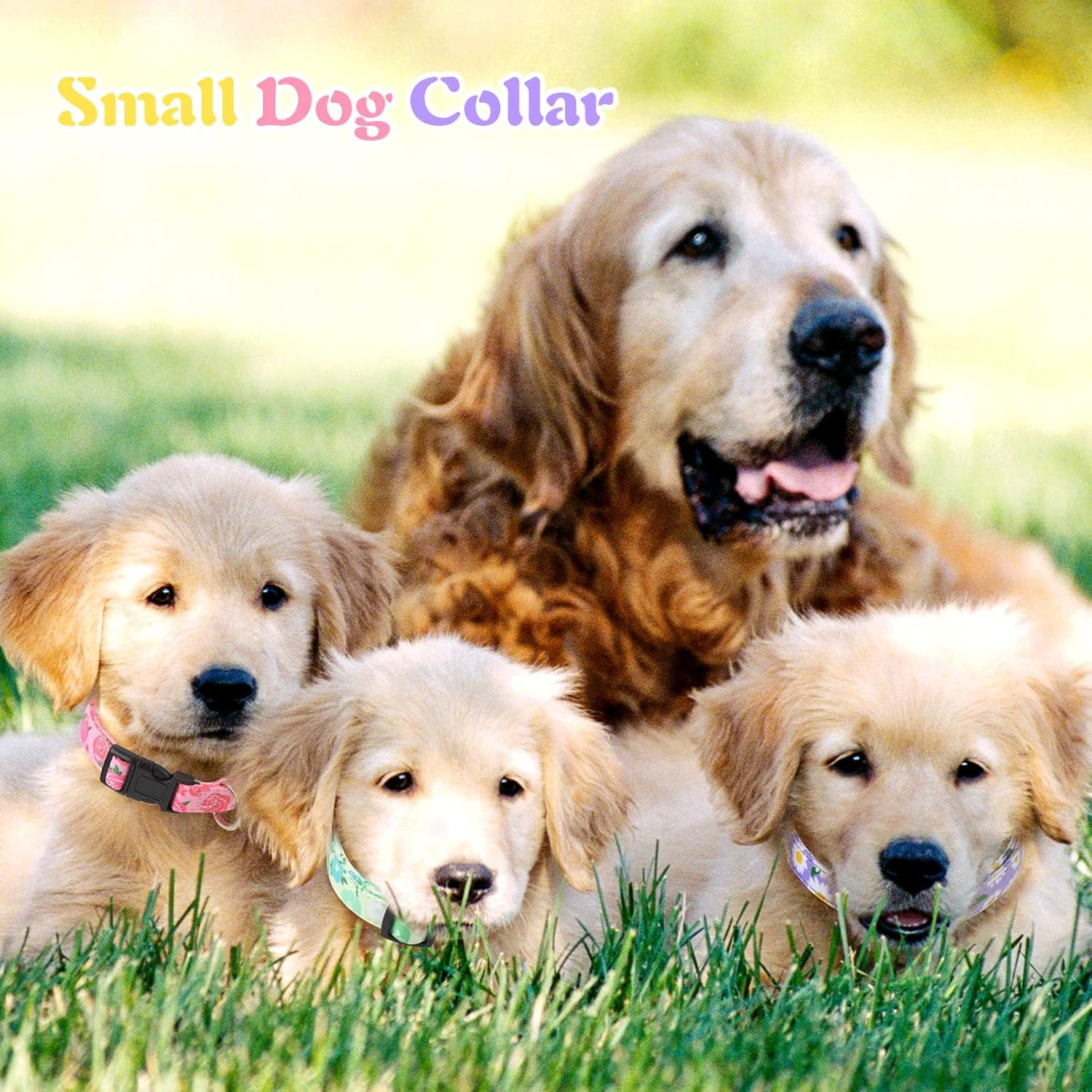 4 Pack Flower Dog Collar Floral Dog Collar for Girl Dog with Removal Flower Adjustable Safety Pet Puppy Collars for Female Puppy Small Dogs - Image 5