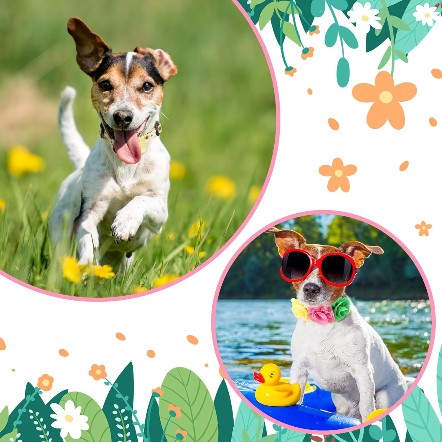 4 Pack Flower Dog Collar Floral Dog Collar for Girl Dog with Removal Flower Adjustable Safety Pet Puppy Collars for Female Puppy Small Dogs - Image 7