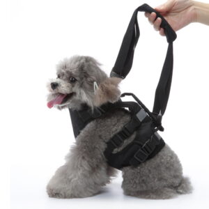 Dog Mobility Support Harness for Aging Disabled Pets At Home Post Surgery Recovery Walking Aid