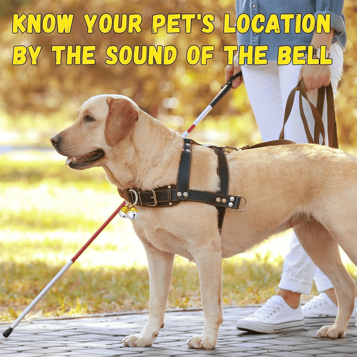 8 Pack Extra Loud Cat & Dog Bells, Brass Dog Collar Bell Pet Tracker, Protect Wildlife, for Various Deaf or Elderly Pets - Image 6