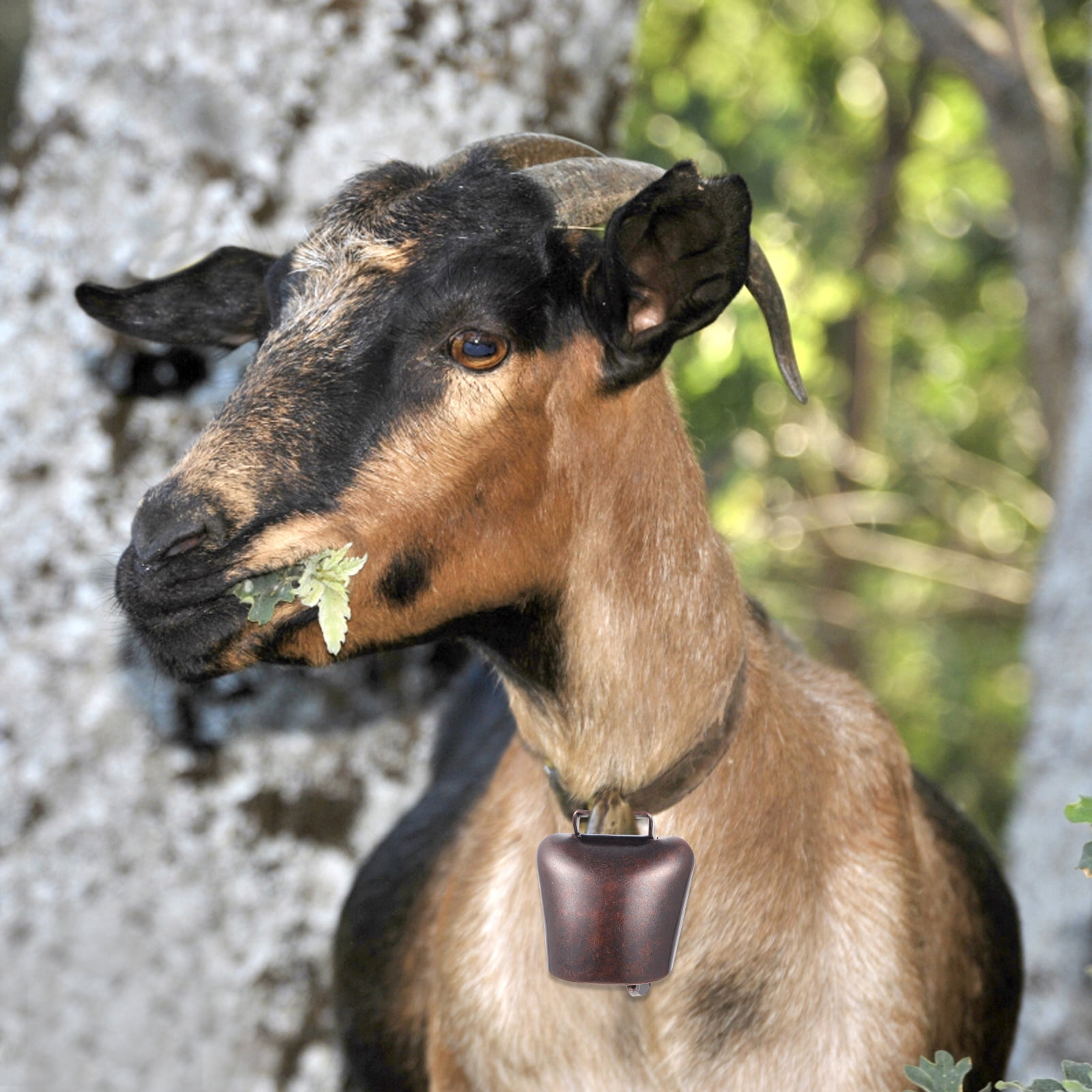 unbranded 2 Pcs Copper Bell Cow Herd for Dog Collar Hanging Christmas Bells Decoration Shop - Image 8