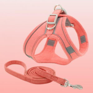 Pet Puppy Dog Safety Harness No Pull Padded Dog Leash Collar Chest with Reflective Dog Leash for Small Dog