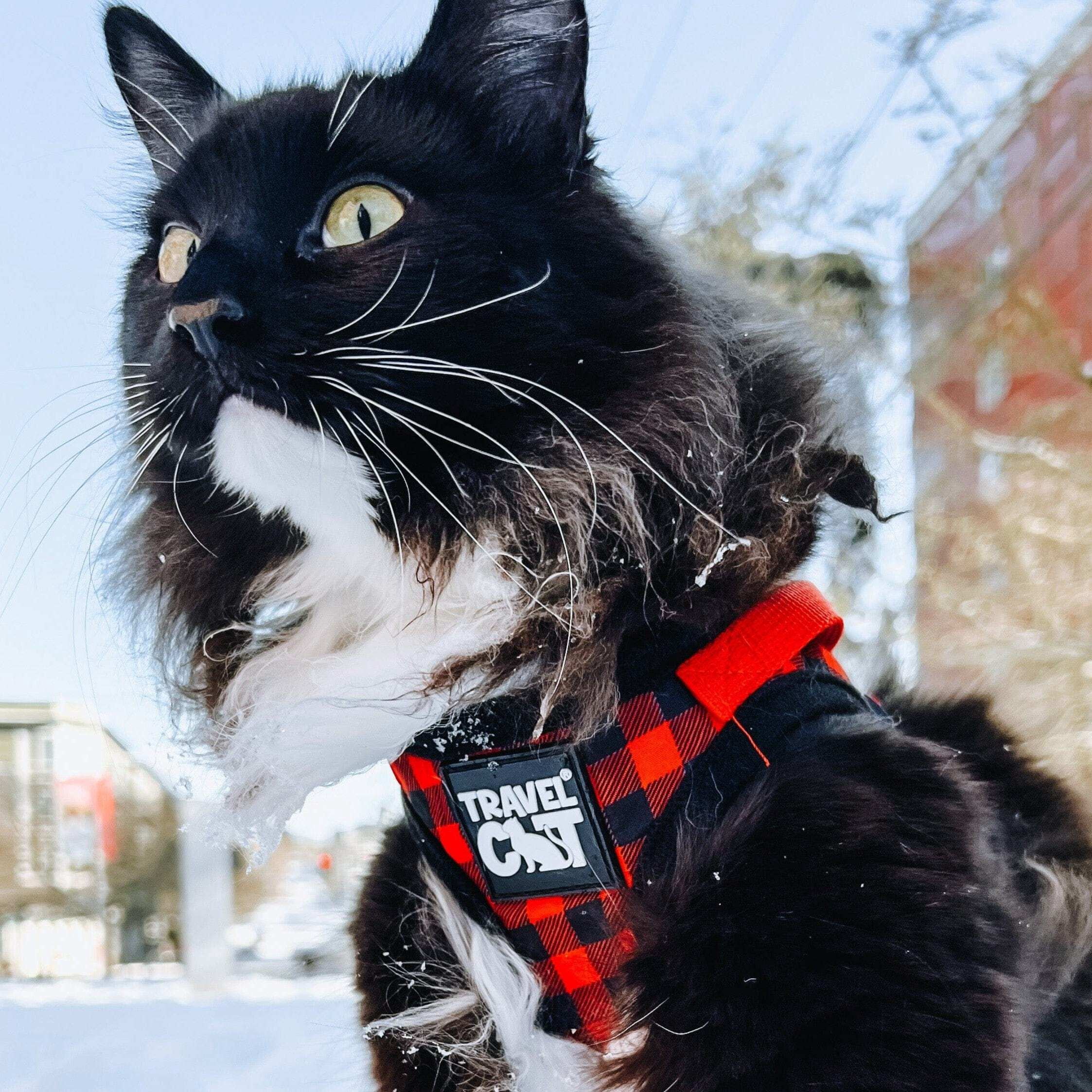 "The Pawsitively Plaid" Limited Edition Buffalo Plaid Cat Harness - Image 6