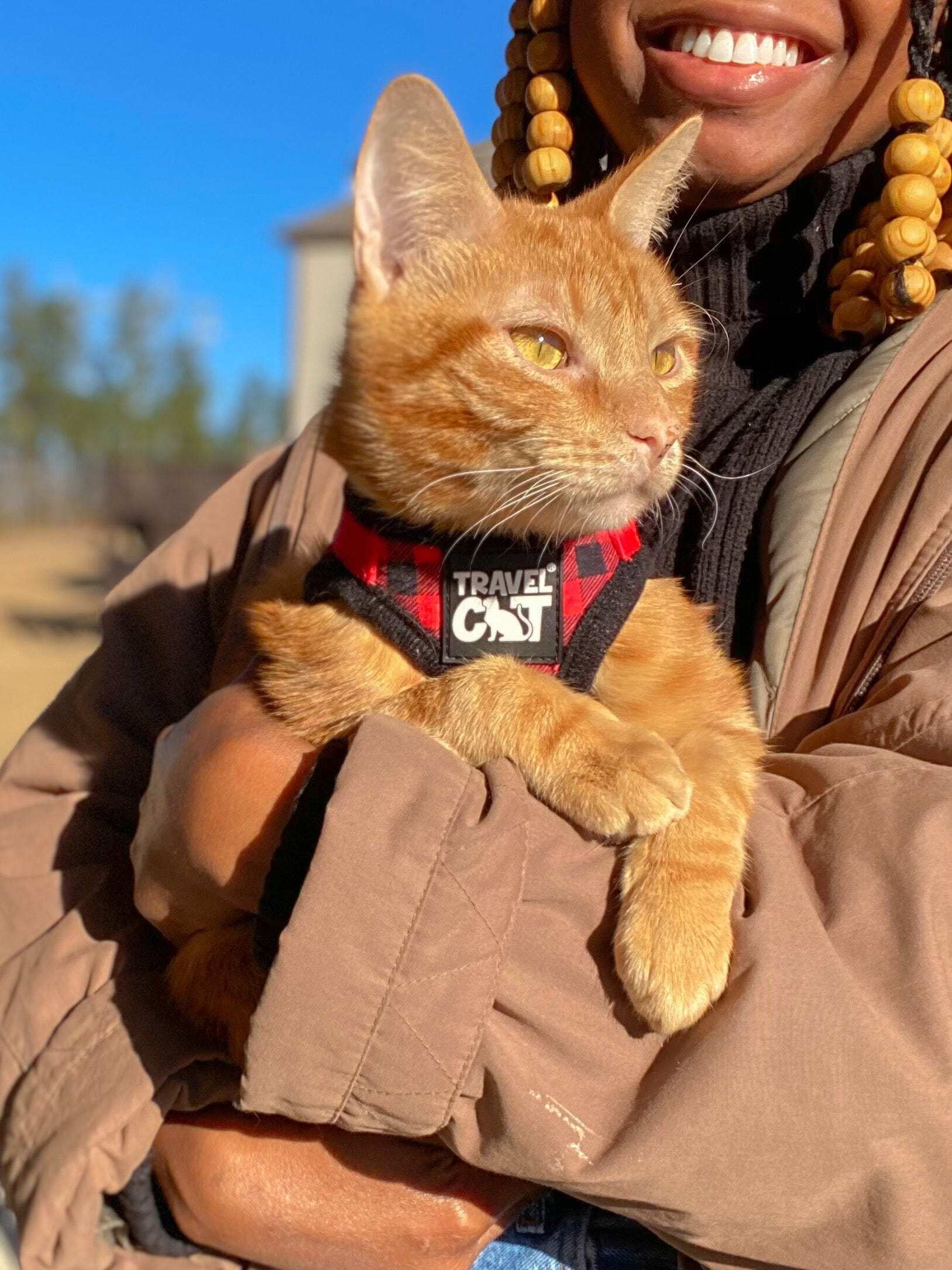 "The Pawsitively Plaid" Limited Edition Buffalo Plaid Cat Harness - Image 7