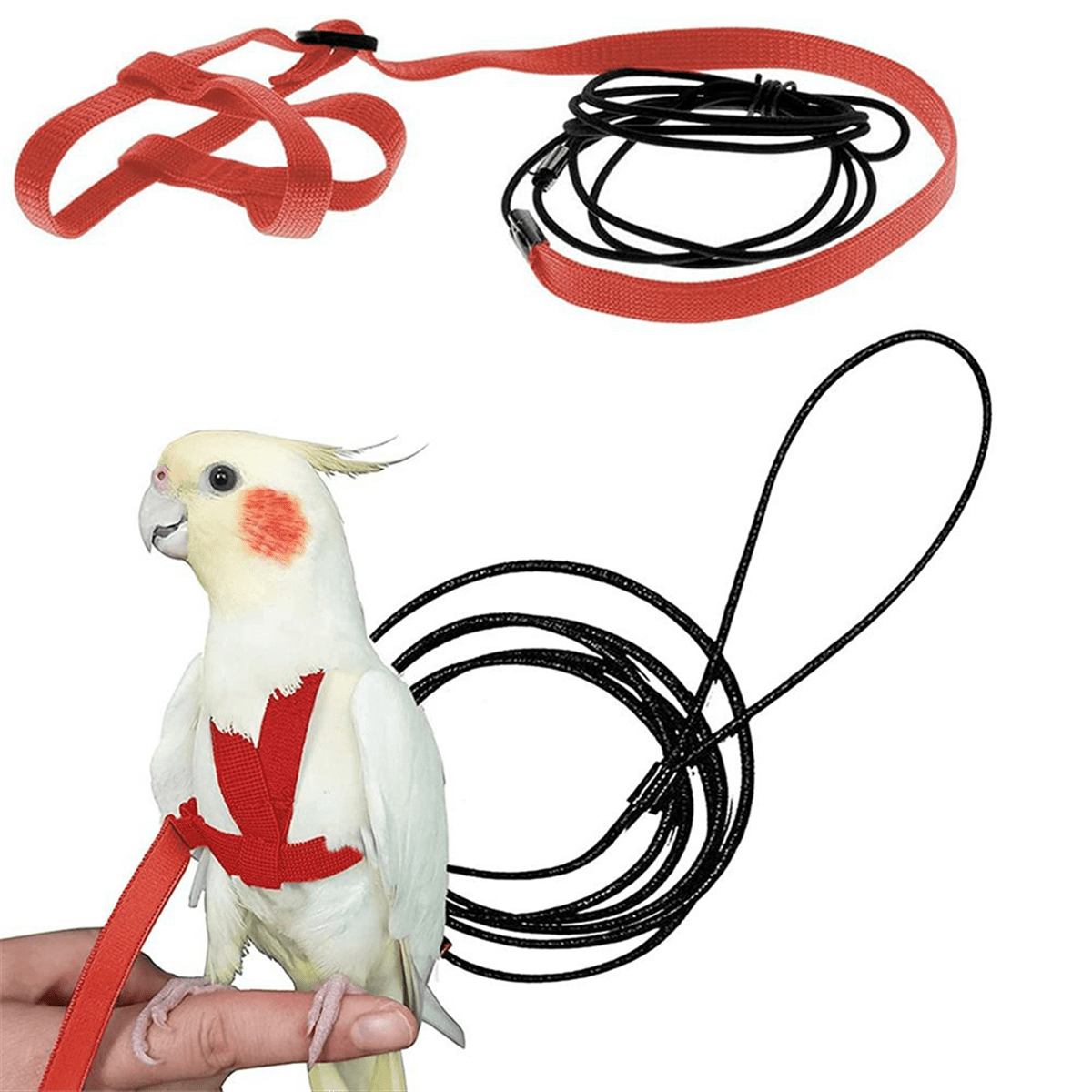 Parrot Bird Harness Leash Outdoor Flying Traction Straps Band Adjustable Anti-Bite Training Rope,Red M - Image 2