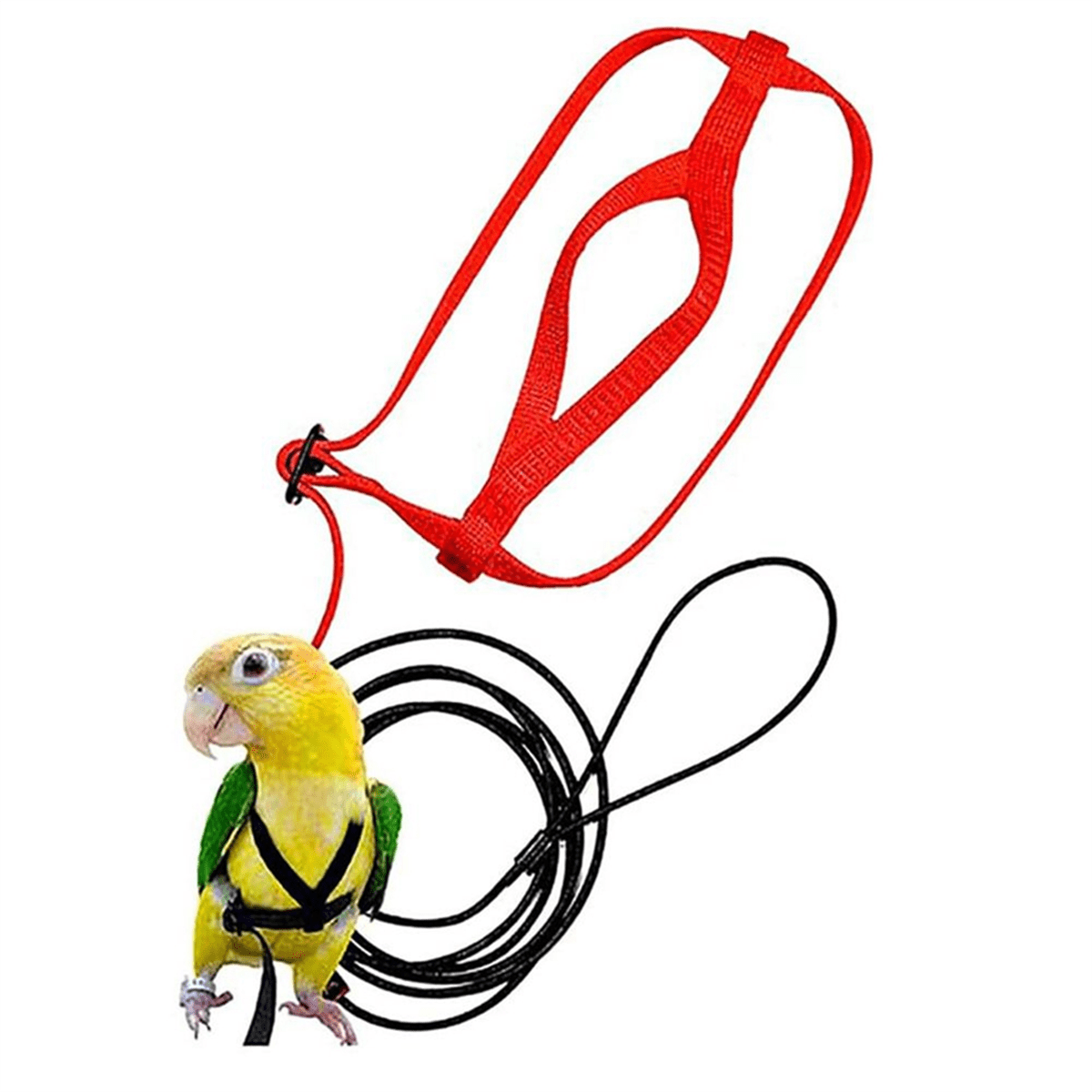 Parrot Bird Harness Leash Outdoor Flying Traction Straps Band Adjustable Anti-Bite Training Rope,Red M - Image 4