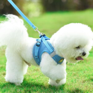 1pc Adjustable Breathable Reflective Pet Harness with Leash, Soft Polyester Mesh Fabric, Comfortable and Safe for Cats and Dogs Daily Wear