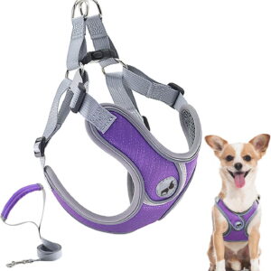 Dog Harness with Leash Set, Puppy Harnesses with Breathable Padded for Small Dogs Walking Escape Proof (XS, Purple)