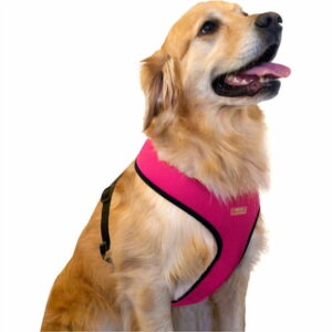 Pink/black Mesh Strap Body Harness, Mult