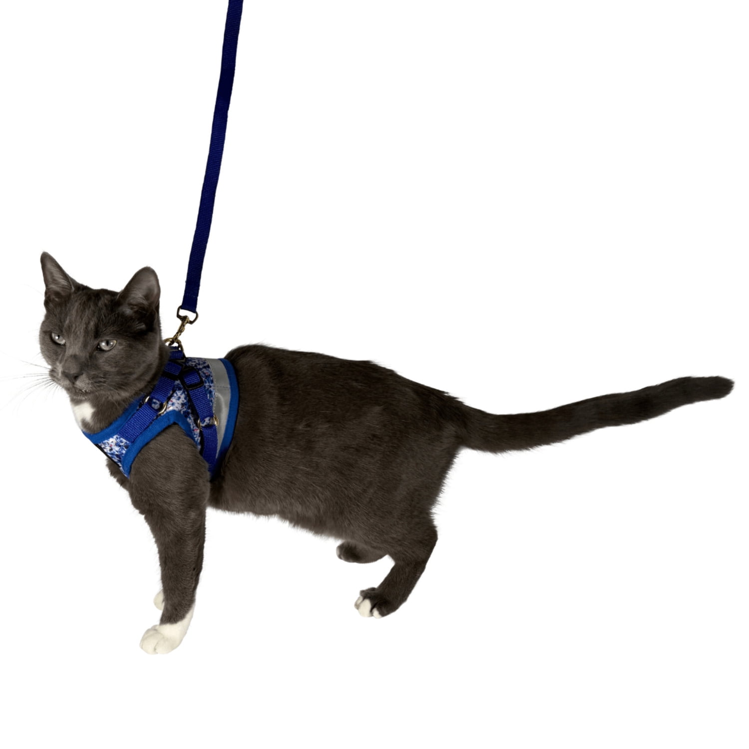 "The Groovy Cat" Tie Dye Limited Edition Harness Leash Set - Image 11