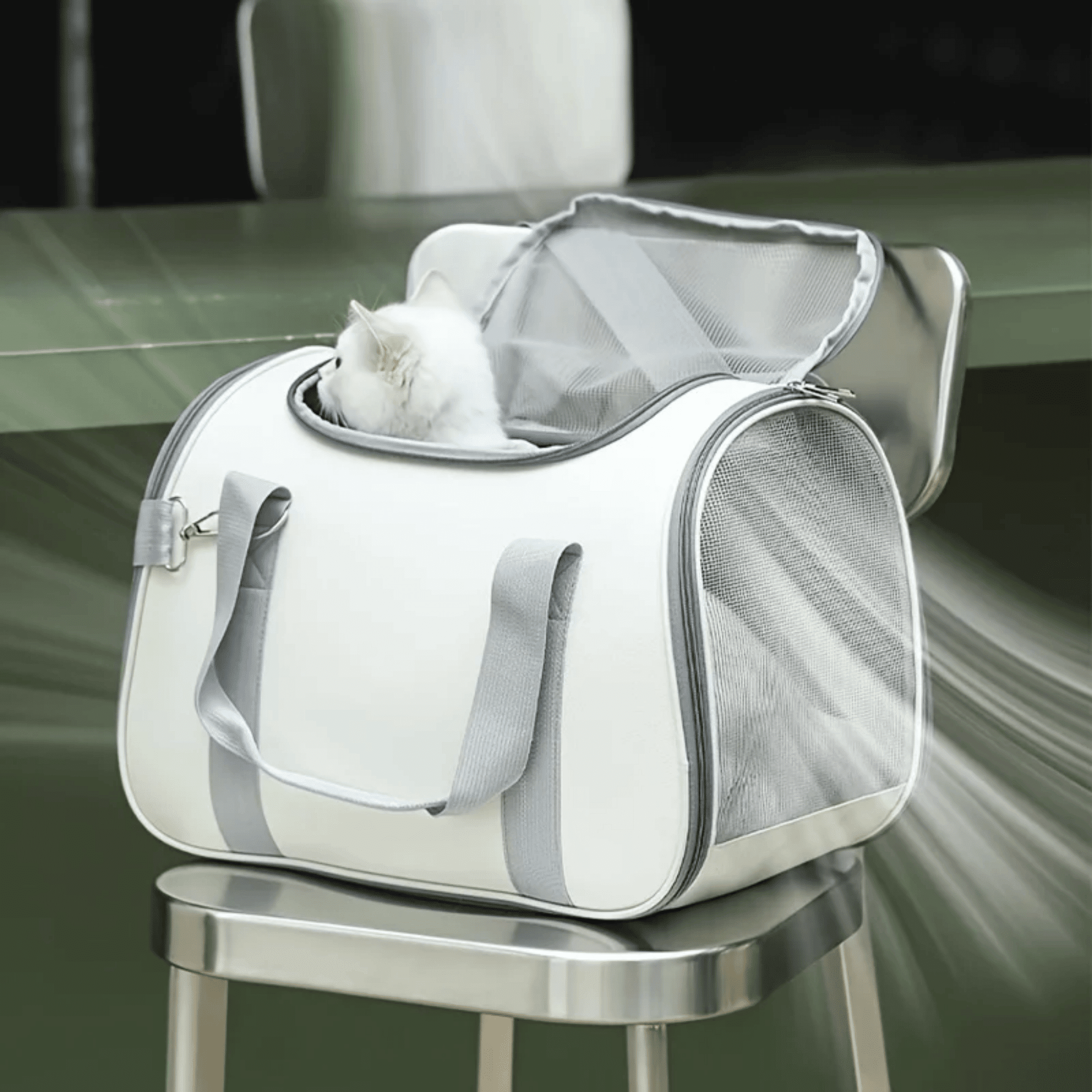 Generic Soft Sided Cat Carrier Bag, Breathable Ventilated Oxford Pet Travel Tote for Car Rides & Vet Visits, Comfortable Portable Kitty Kennel, 15 lb Capacity - Image 7