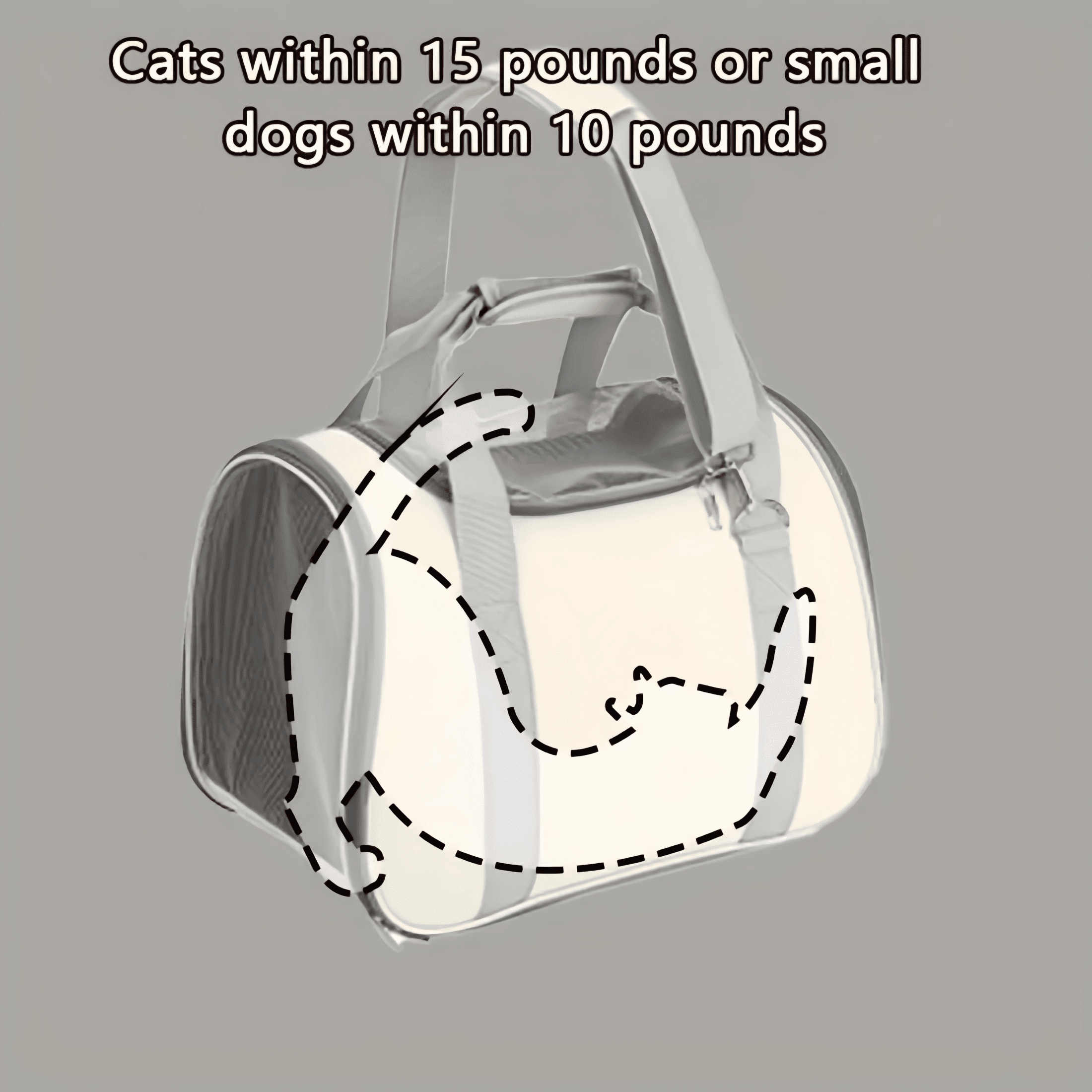 Generic Soft Sided Cat Carrier Bag, Breathable Ventilated Oxford Pet Travel Tote for Car Rides & Vet Visits, Comfortable Portable Kitty Kennel, 15 lb Capacity - Image 9