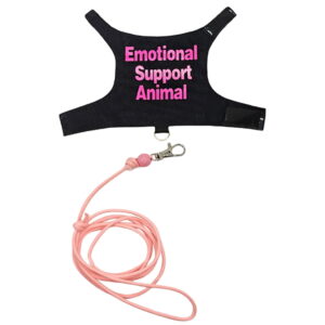 Regulable Lizards Harnesses Set Outdoor Walking Leashes Colorful Pet Harnesses for Outdoor Walking Small Reptiles Pet