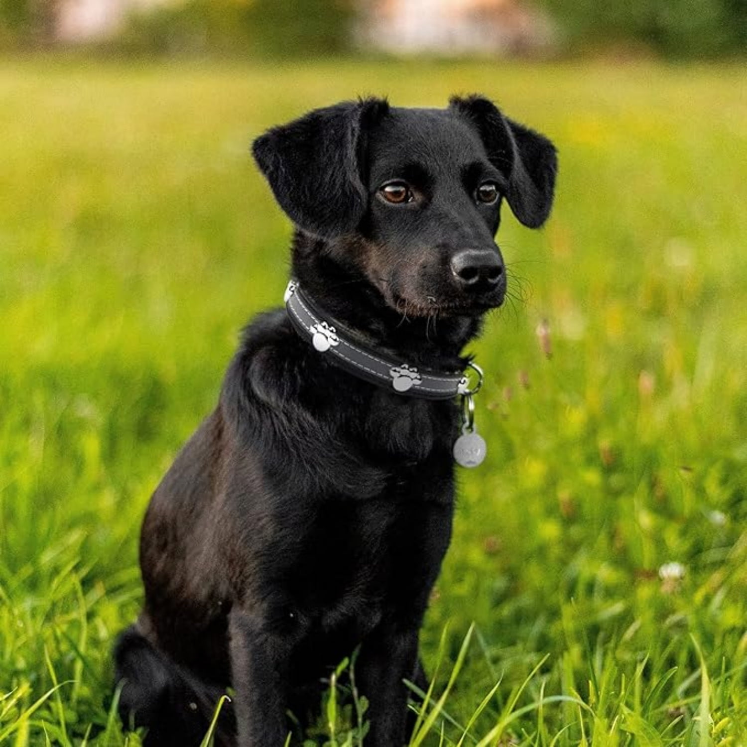 Reflective Dog Collar with Cute Paw Rivet Studded Funny Soft Leather Adjustable Puppy Dog Collars for Small Medium Large Dogs Cats (Black,Small) - Image 3