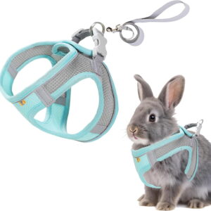 Rabbit Harness and Leash Set - Escape Proof Adjustable Soft Padded Vest, Breathable Mesh Bunny Harness with Reflective Strap, Safe for Small Animals - Green, Size S