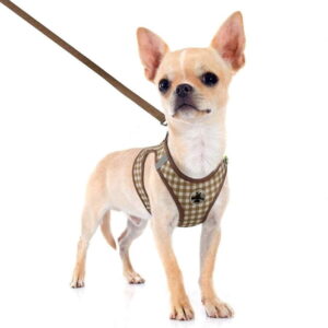 2PCS Pet Harness & Leash Set, Plaid Design, Reflective Strips, Breathable Polyester