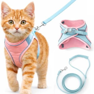 2026 New Escape Proof Cat Harness with Leash, Soft Breathable Adjustable Vest Harnesses Dual-Closure Safe Quick Wear,  for Cats Enjoy Outdoor Freedom