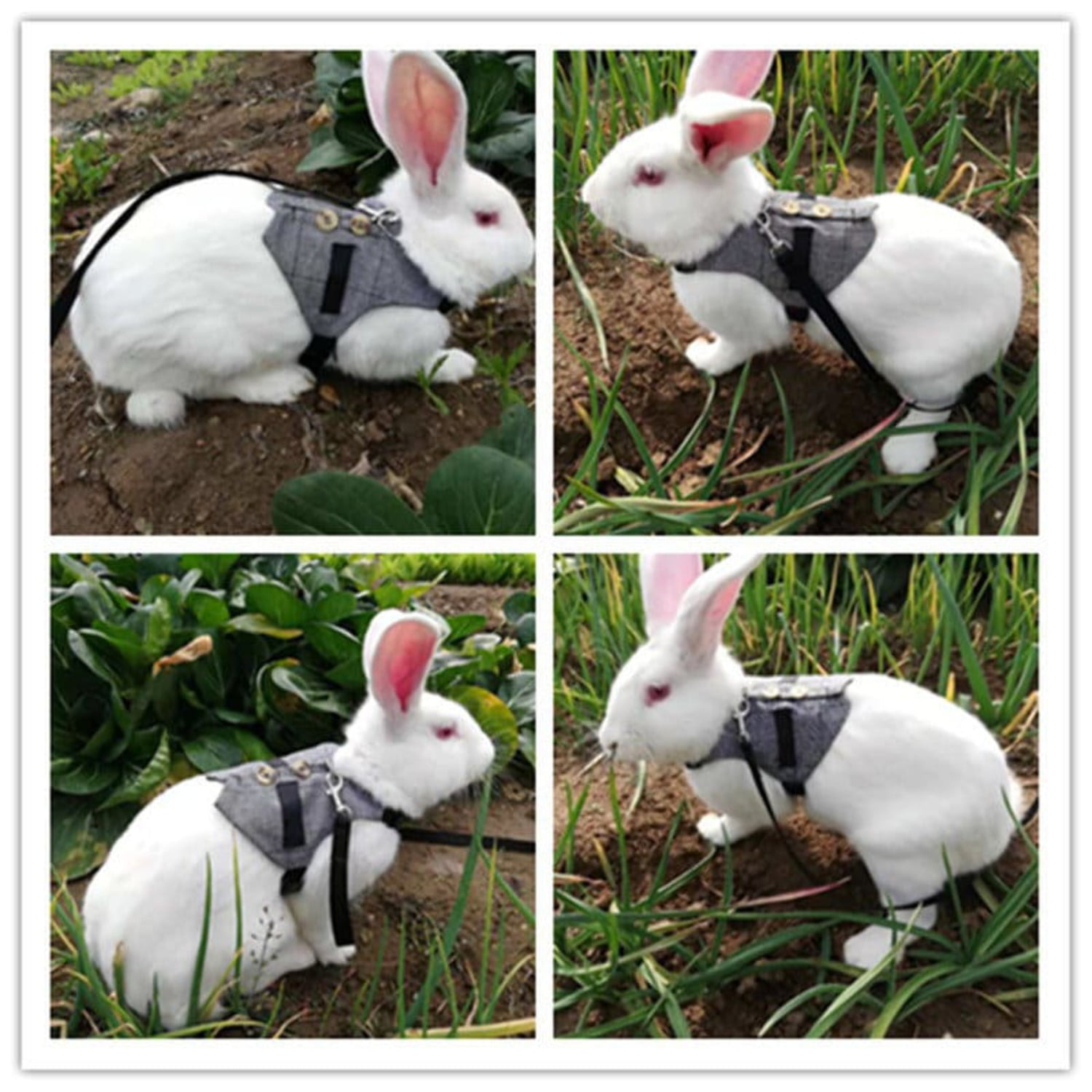 Bunny Rabbit Vest Harness with Long Leash - Image 4
