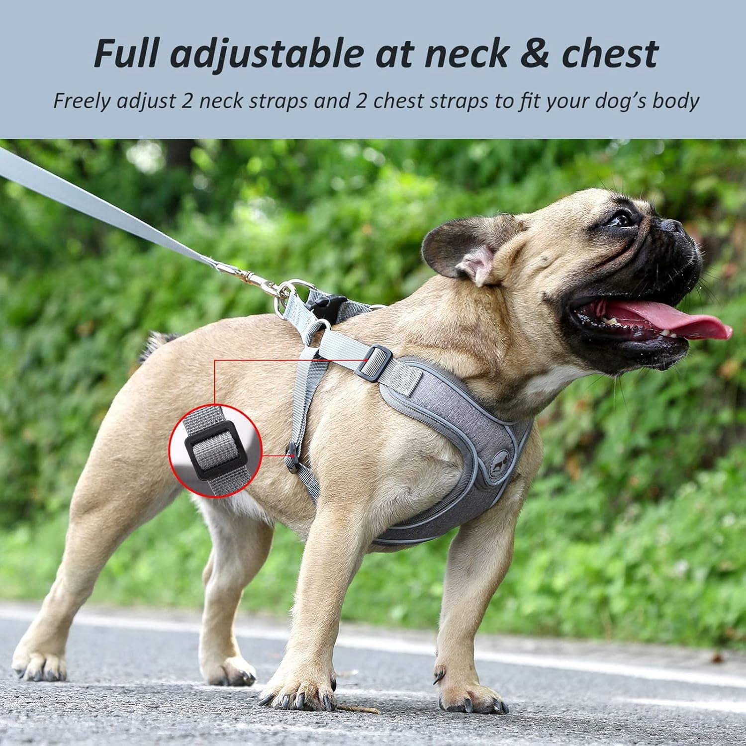 Denim French Bulldog Harness with Leash Set, with Breathable Padded Puppy Harness for Small Dogs Training and Walking (XS Pink) - Image 9