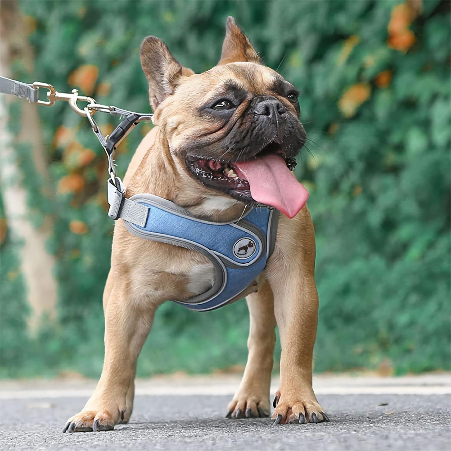 Denim French Bulldog Harness with Leash Set, with Breathable Padded Puppy Harness for Small Dogs Training and Walking (XS Pink) - Image 21