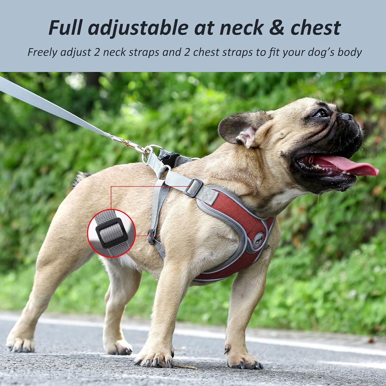 Denim French Bulldog Harness with Leash Set, with Breathable Padded Puppy Harness for Small Dogs Training and Walking (XS Pink) - Image 37