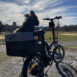 Bike Dog  Package with 4-Point Harness - Water-Resistant Padded Liner for Front or Rear Rack, Holds Pets  to 45lbs