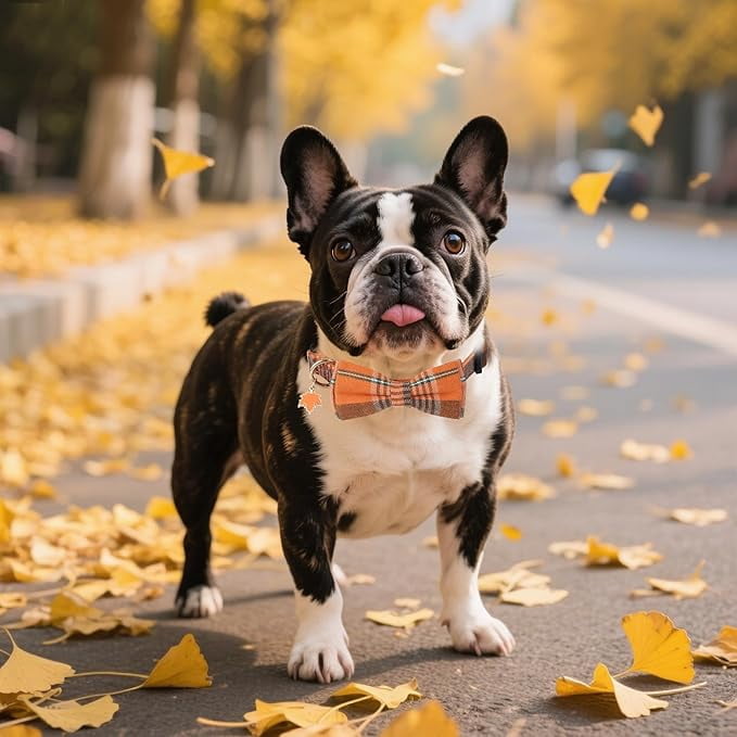 ADOGGYGO Christmas Dog Collar with Bow Tie Adjustable Dog Bowtie Collar Red Green Plaid Pet Christmas Collars for Medium Dogs (Medium) - Image 12