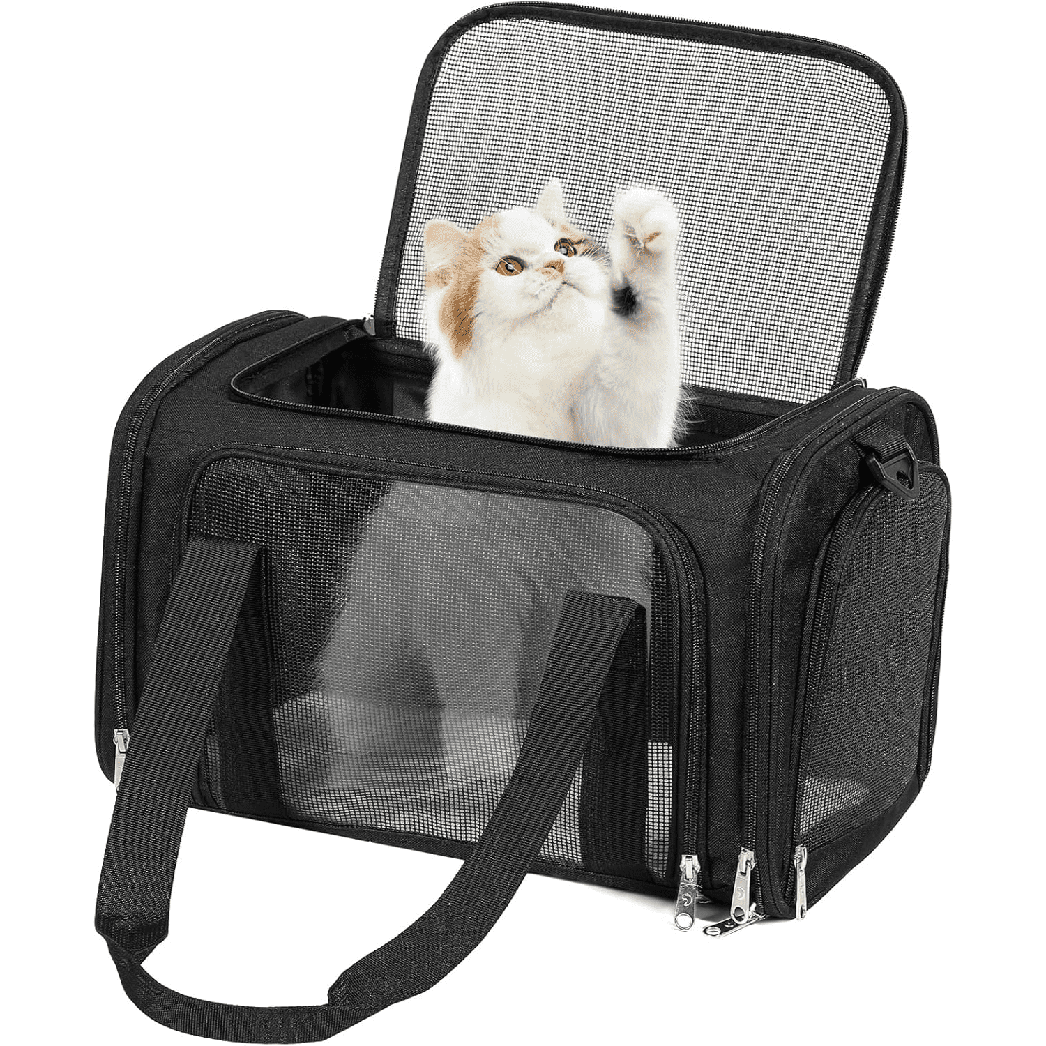 TSA Airline Approved Pet Carrier for Cats & Small Dogs Up to 15 lbs - Soft Sided Collapsible Travel Carrier with Mesh Windows - Under Seat Puppy Kitten Carrier Bag