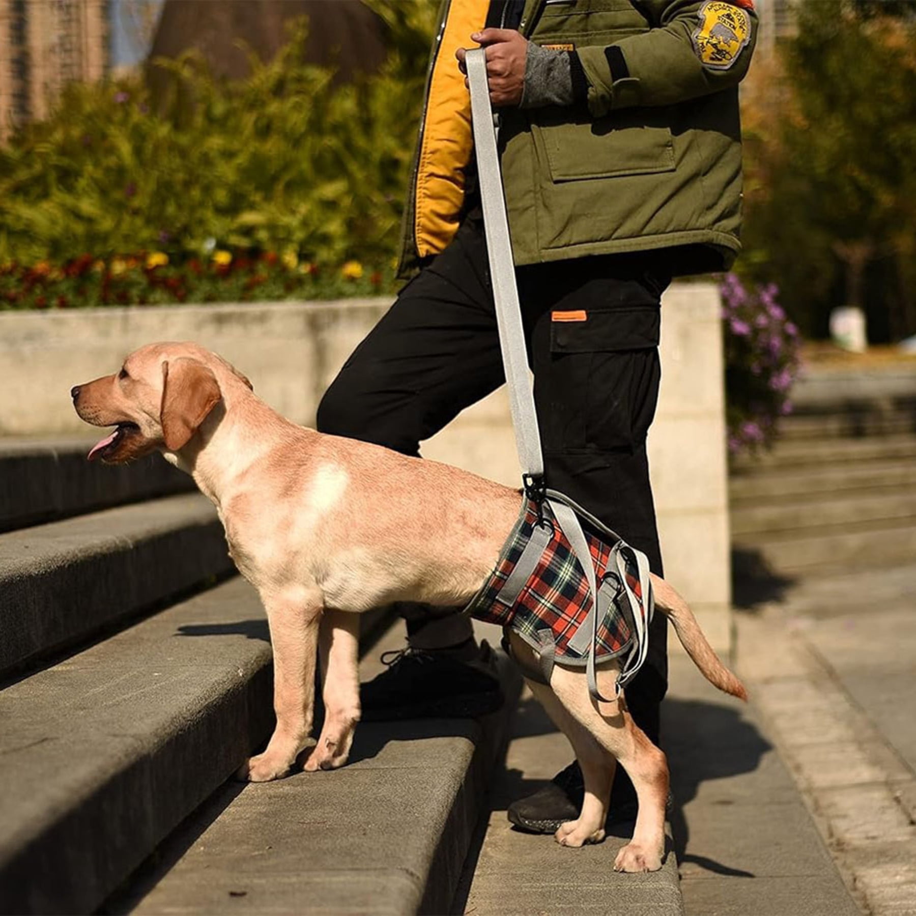 Dog Lift Harness, Adjustable Rear Support Sling for Mobility Assistance, Post-Surgery Recovery Aid with Handle & D-Ring for Medium to Large Dogs,Orange,L - Image 5