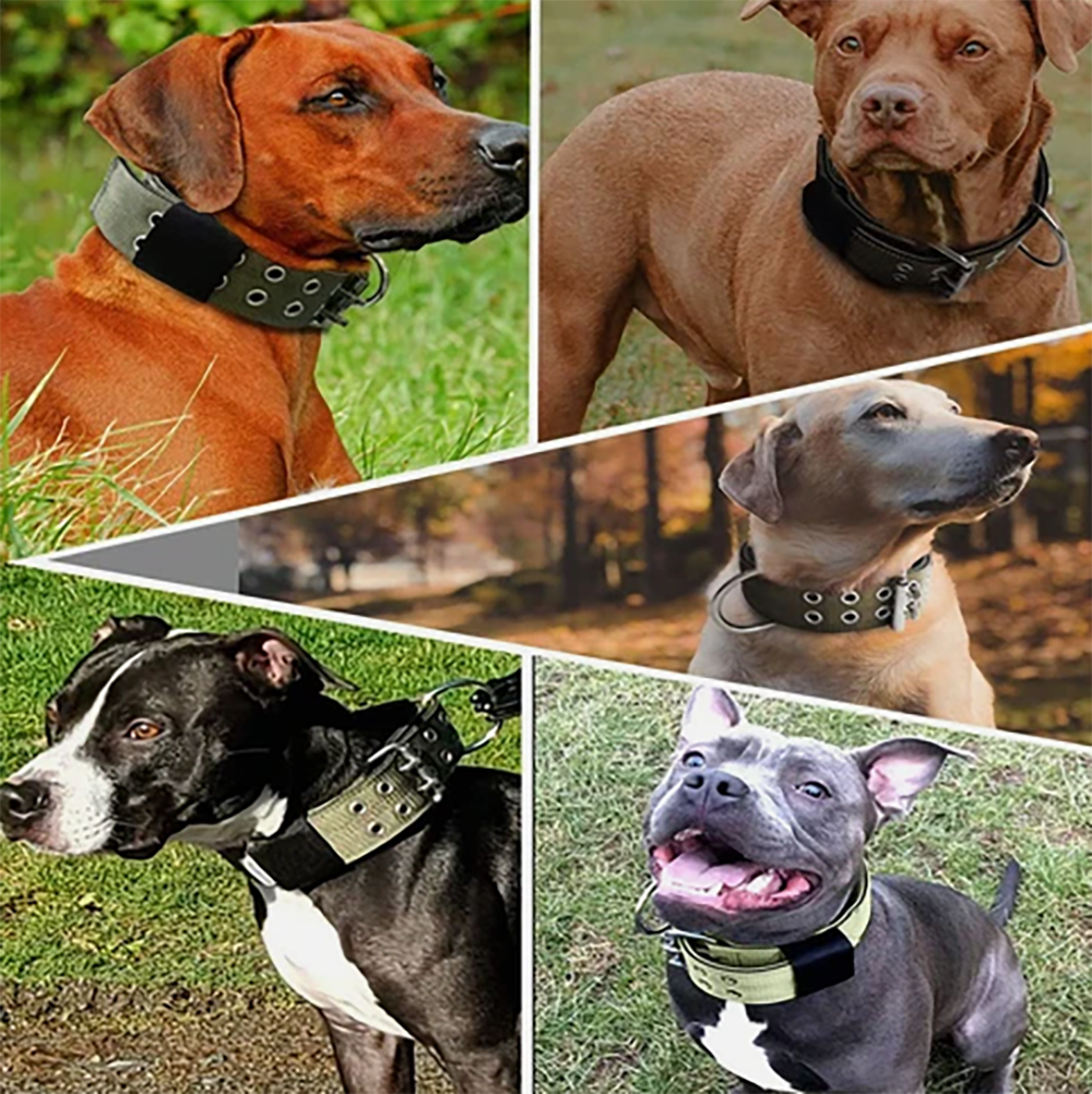 Tactical Dog Collar - Heavy Duty Military Grade Nylon, Adjustable Training Collar with Metal Clasp for Small Medium Large Dogs. (Black,L) - Image 9