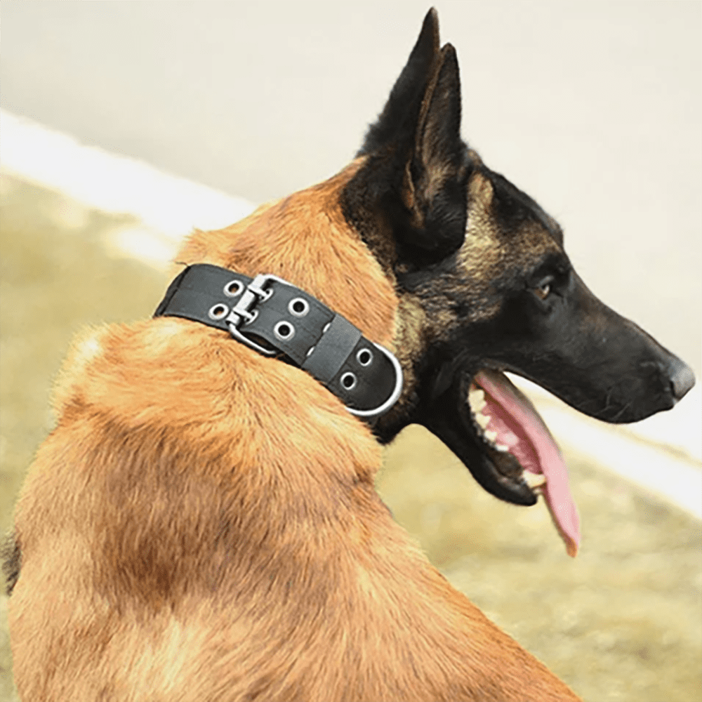 Tactical Dog Collar - Heavy Duty Military Grade Nylon, Adjustable Training Collar with Metal Clasp for Small Medium Large Dogs. (Black,L) - Image 10