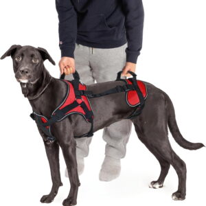 Multi-Functional Full-Body Lifting Dog Harness Vest, Front-Only, Rear-Only, or Full-Body Support, Please Measure Before Ordering