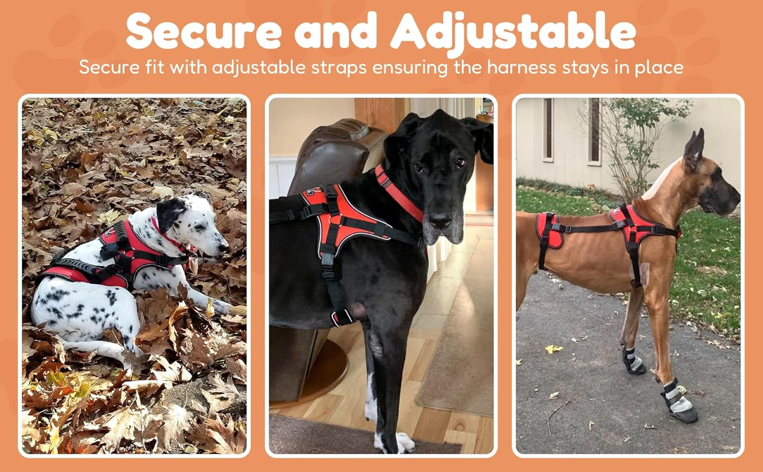 Multi-Functional Full-Body Lifting Dog Harness Vest, Front-Only, Rear-Only, or Full-Body Support, Please Measure Before Ordering - Image 5