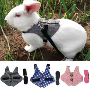 SPRING PARK Rabbit Hamster Vest Harness With Leash Bunny Chest Strap Ferret Working Rope Safety Fabric for Bunny