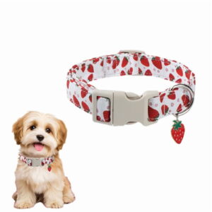 Cute Printed Dog Collar with Adorable and Unique Patterns, Suitable for Small Medium Large Dogs, Designed Specifically for Dogs in A Delightful Style