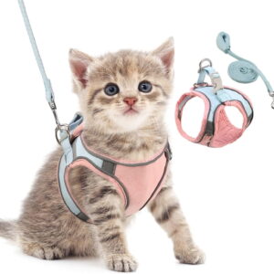 "Pet Harness & Leash Set, Breathable Vest with Reflective Straps, Adjustable for Small Cats, Dogs & Rabbits (10-6.6 lbs), Pink & Blue"