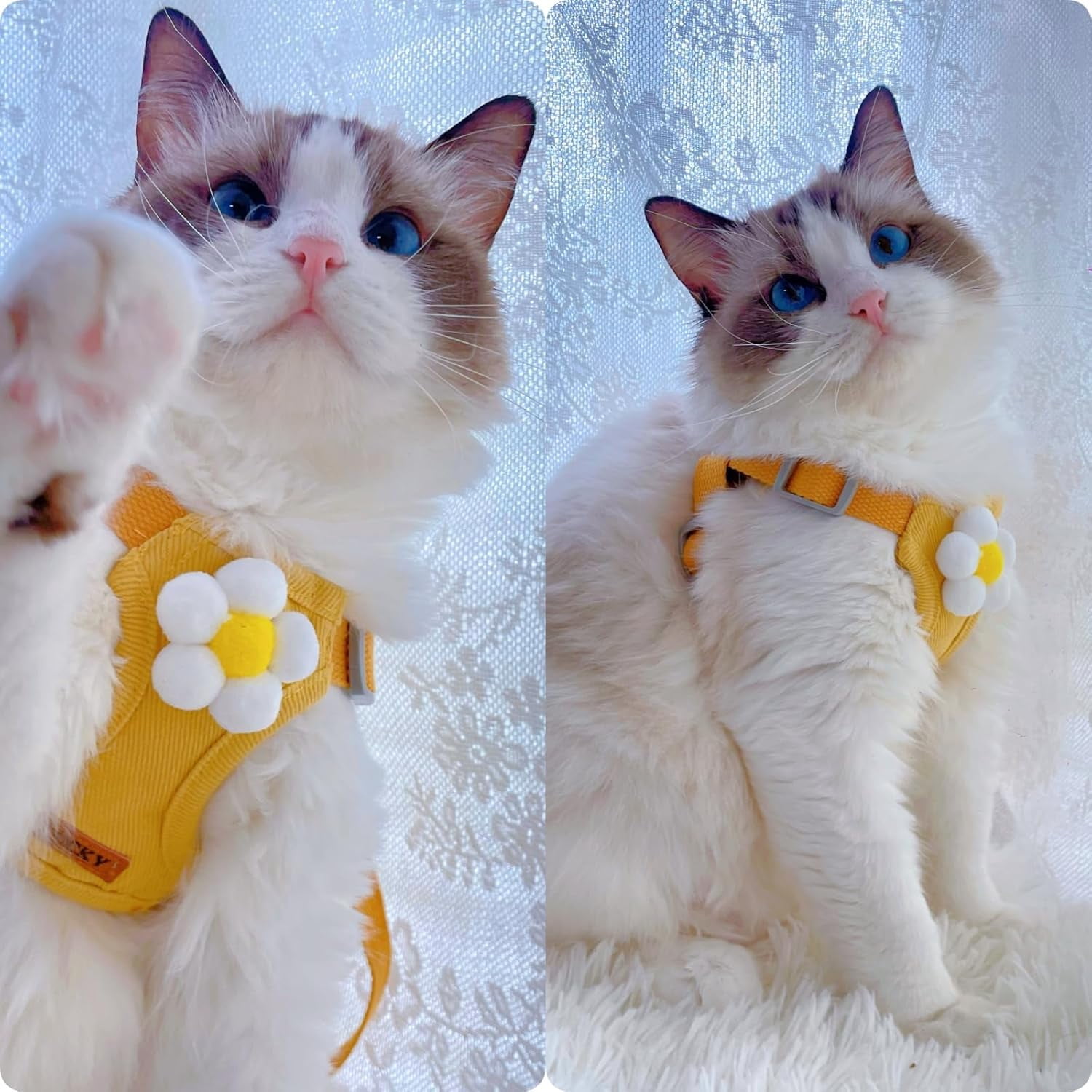 Dog Harness & Leash Set – Cute Plaid Mesh Vest Harness with Flower Pattern, Adjustable Soft Backpack-Style Harness for Small to Medium Dogs - Image 3