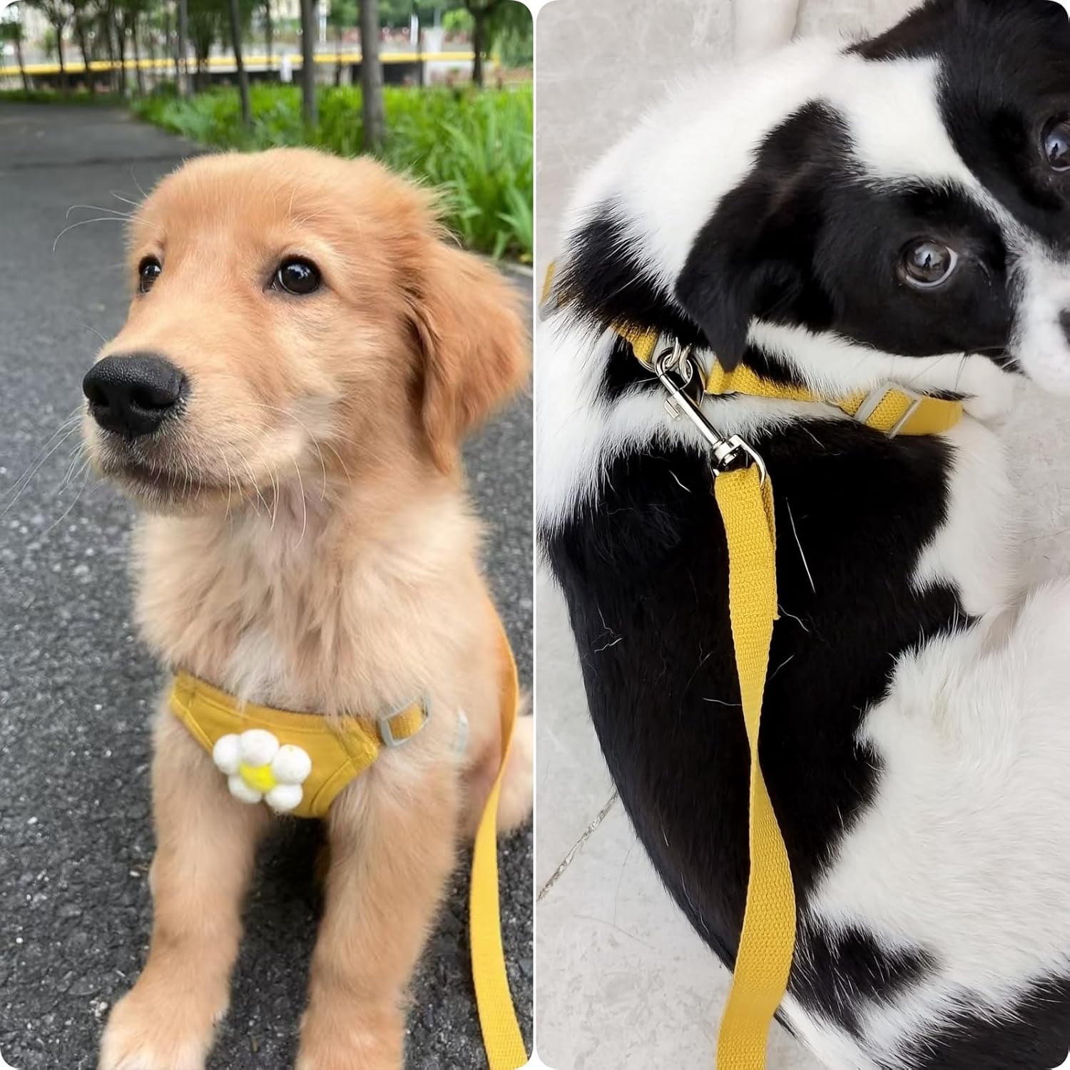 Dog Harness & Leash Set – Cute Plaid Mesh Vest Harness with Flower Pattern, Adjustable Soft Backpack-Style Harness for Small to Medium Dogs - Image 4