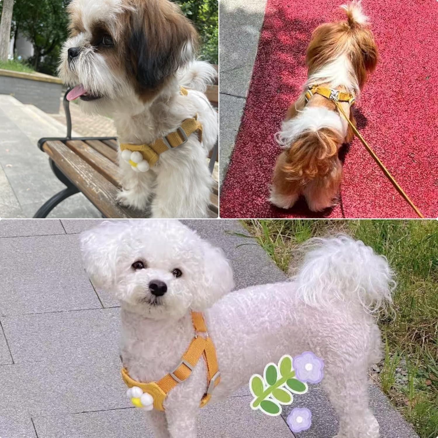 Dog Harness & Leash Set – Cute Plaid Mesh Vest Harness with Flower Pattern, Adjustable Soft Backpack-Style Harness for Small to Medium Dogs - Image 5