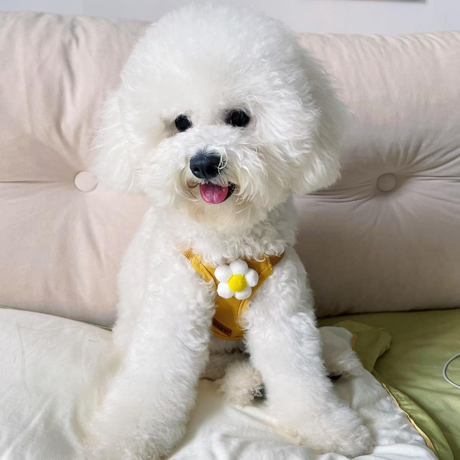 Dog Harness & Leash Set – Cute Plaid Mesh Vest Harness with Flower Pattern, Adjustable Soft Backpack-Style Harness for Small to Medium Dogs - Image 8