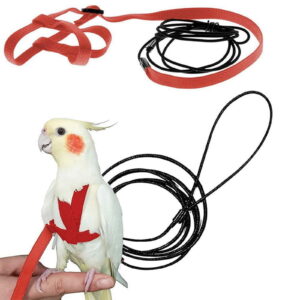 Parrot Bird Harness Leash Outdoor Flying Traction Straps Band Adjustable Anti-Bite Training Rope,Blue M